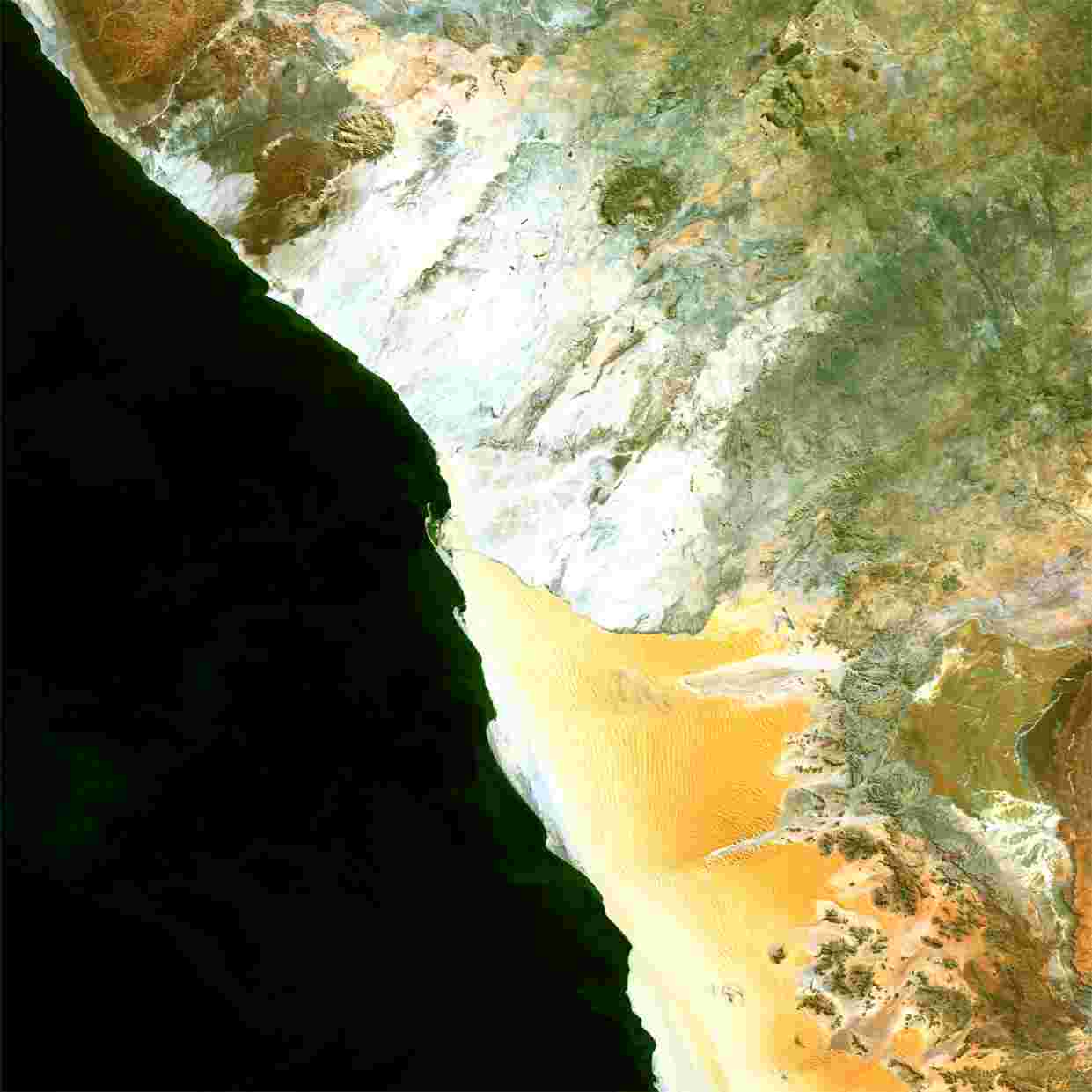 MERIS image