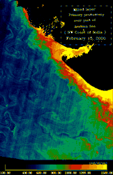 Primary Production (135KB)