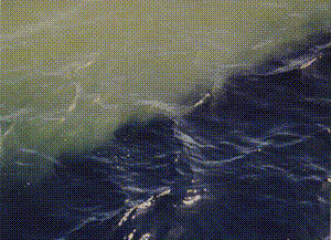 PIC